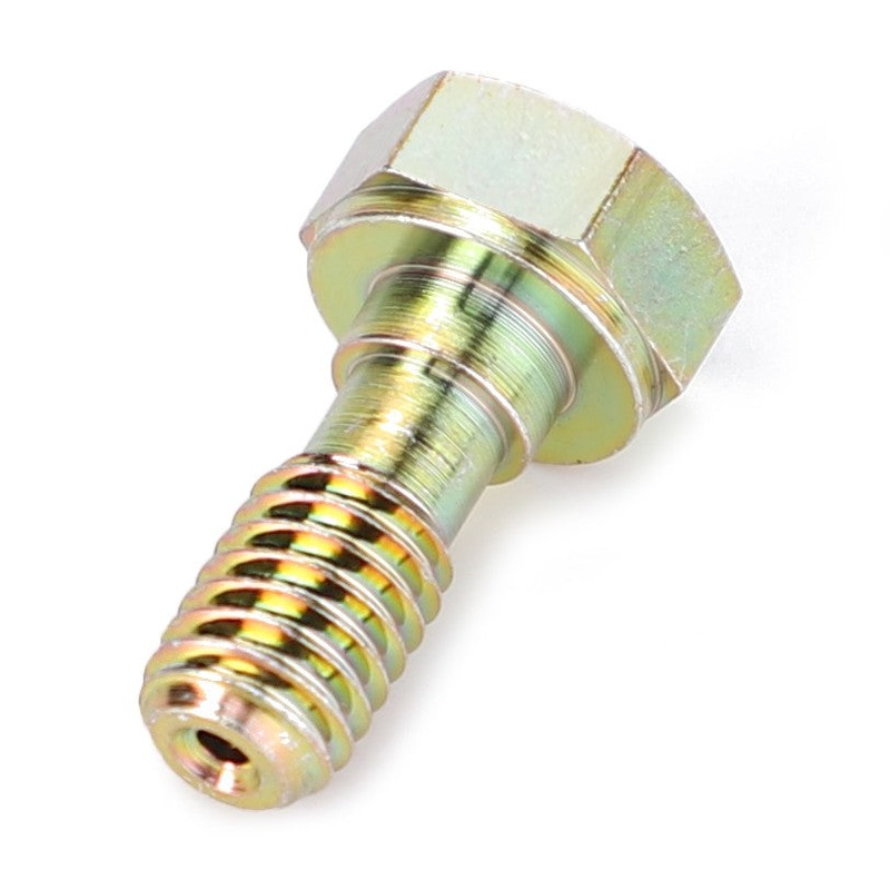 AGCO | Banjo Bolt - 3641699M1