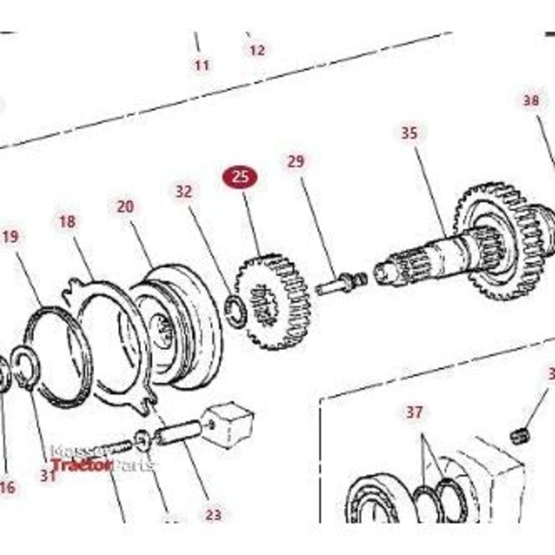 Massey Ferguson - Spur Gear - 822100220340